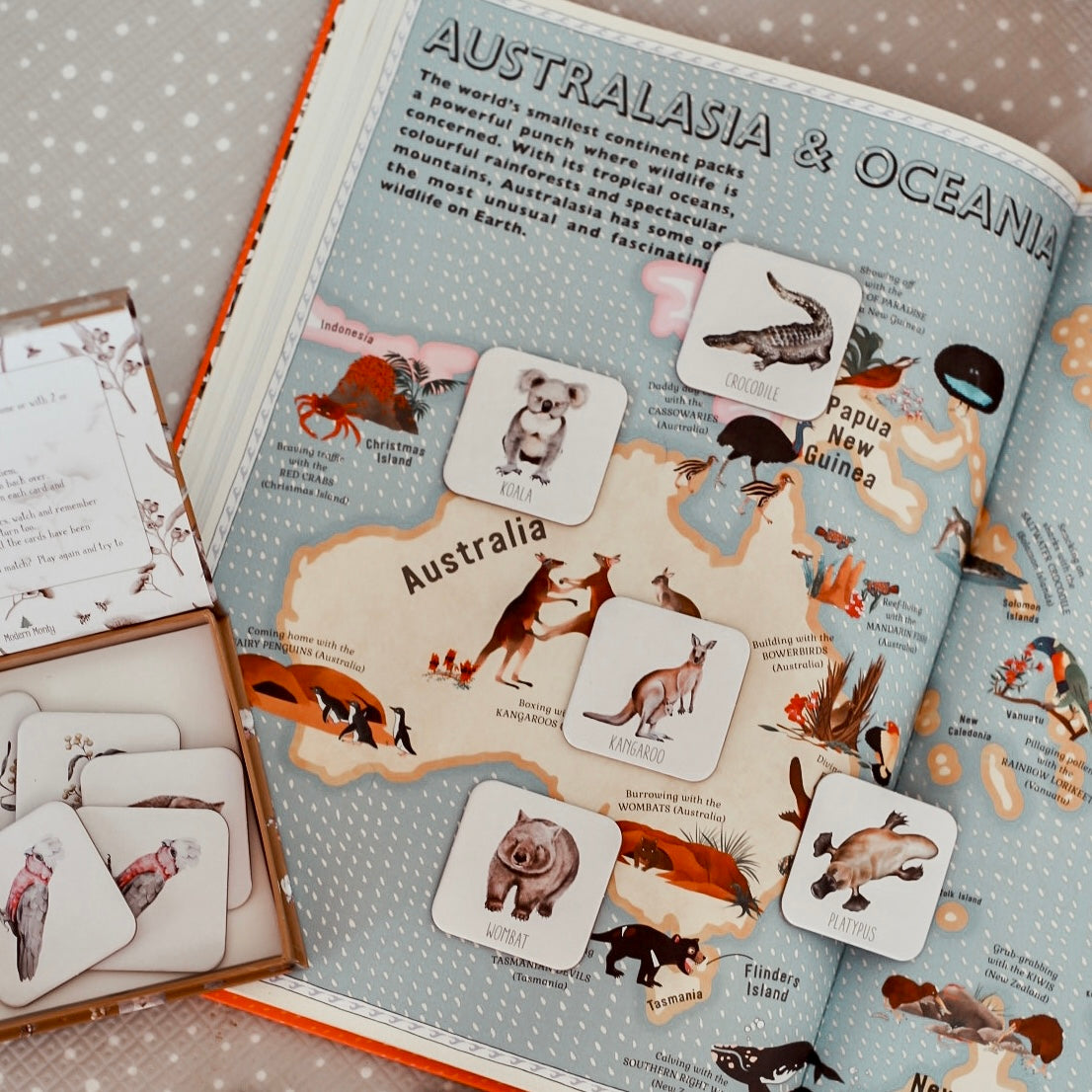 Memory Card Game - Australia | Modern Monty